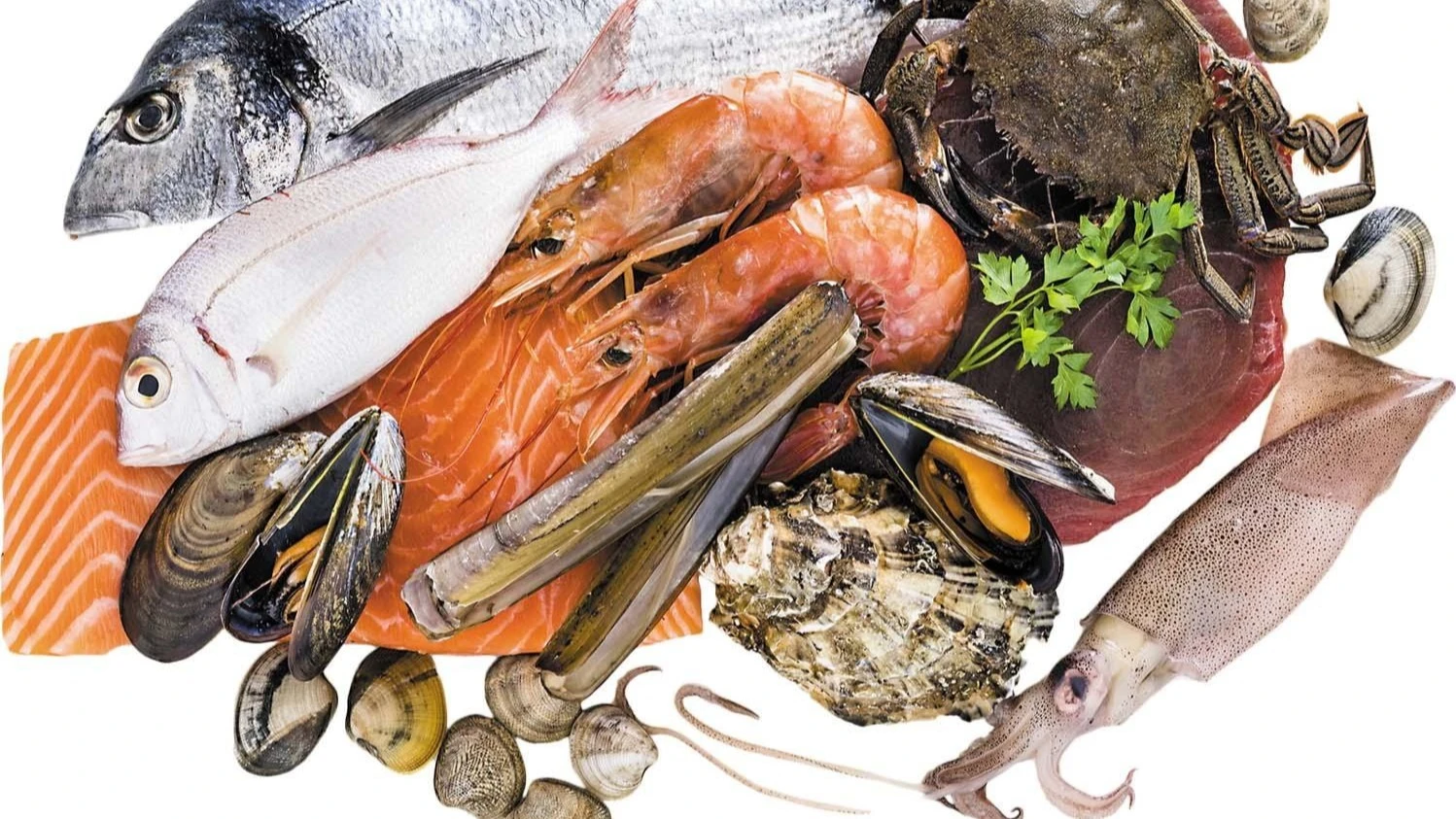 Marine collagen supplement derived from shark cartilage