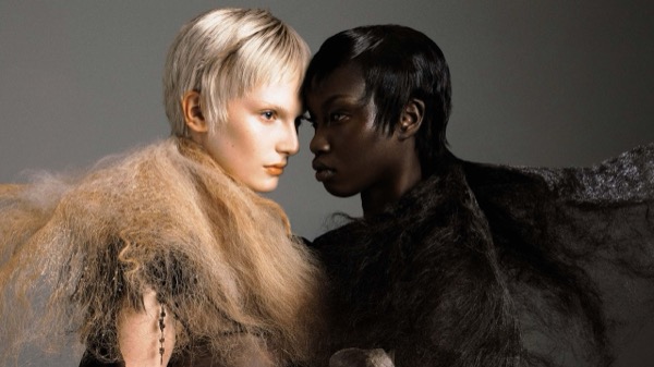 Selection of top-rated collagen supplement products